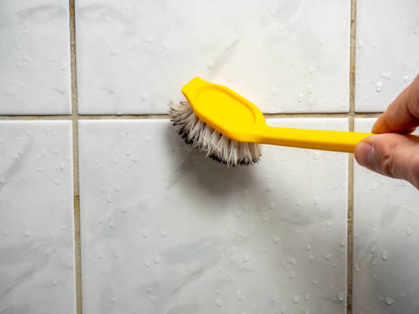 Best Attic Mold Removal  in Micco, FL